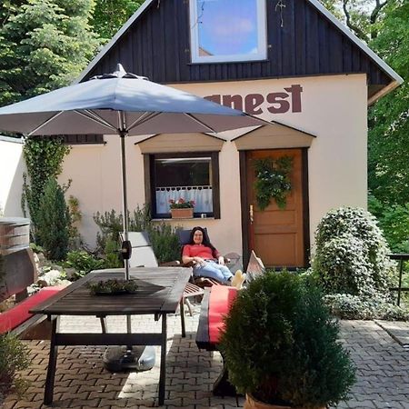Bergnest Bungalow Bad Gottleuba Exterior foto